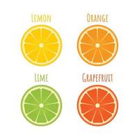 set di icone di agrumi in stile piatto. fette di arancia, lime, limone, pompelmo isolati su bianco. illustrazione vettoriale di frutta fresca. il concetto di dieta, cibo sano e nutrizione.