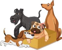 un gruppo di cani domestici dei cartoni animati vettore
