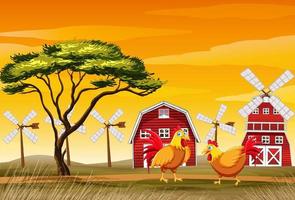scena di fattoria con polli nel campo vettore