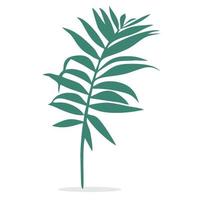 vettore o cocco o foglie di palma in colore verde su sfondo bianco.