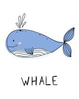 carino balena isolata con doodle mare, oceano. testo animale sottomarino disegnato a mano. vettore