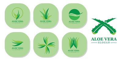 pianta verde aloe vera logo vettore icona simbolo molti vantaggi