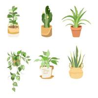 set di piante da appartamento. vettore