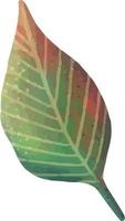 foglia di palma tropicale verde. pianta tropicale. illustrazione ad acquerello dipinta a mano isolata su bianco. vettore