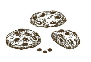 biscotti con gocce di cioccolato. schizzo inchiostro grafico cookie set illustrazione, nero su bianco linea arte vettore