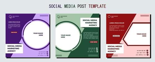 modello di post sui social media viola verde e rosso, illustrazione e testo di arte vettoriale, design semplice ed elegante a colori vettore