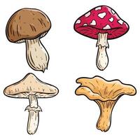 collezione di funghi colorati con stile disegnato a mano vettore