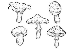 raccolta di funghi disegnati a mano su sfondo bianco vettore