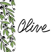 modello di banner di olivo. sfondo in stile doodle disegnato a mano. scritte in oliva disegnate a mano. design per olio d'oliva, packaging per olive, cosmetici naturali, prodotti per la salute vettore
