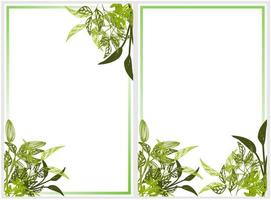 cornice floreale geometrica foglie verdi, cornice a base di erbe