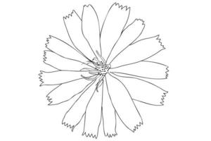 fiore vettoriale in bianco e nero, arte al tratto, illustrazione del fiore di contorno, disegno floreale con linea di contorno sottile nera isolata su sfondo bianco.