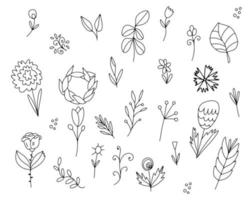 insieme vettoriale di foglie, fiori, ramoscelli. elementi disegnati a mano, fiori