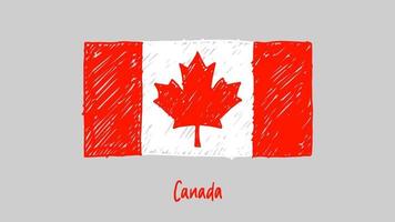 vettore dell'illustrazione dello schizzo a matita o dell'indicatore della bandiera del paese nazionale del canada