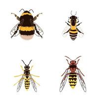 quattro insetti ronzanti sono un'ape, una vespa, un calabrone e un calabrone vettore