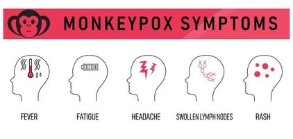 sintomi del virus del vaiolo delle scimmie 2022, infografica sanitaria e medica. illustrazione vettoriale icona dei sintomi medici con testo - febbre, affaticamento, mal di testa, linfonodi ingrossati, eruzione cutanea
