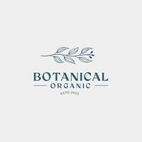 modello di progettazione del logo botanico, olio d'oliva, logo floreale, logo femminile, vettore premium del logo di bellezza