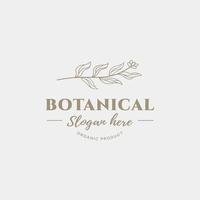 modello di progettazione del logo botanico, olio d'oliva, logo floreale, logo femminile, vettore premium del logo di bellezza