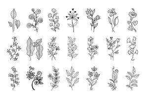 elementi floreali di disegno vettoriale disegnati a mano. illustrazione vettoriale.