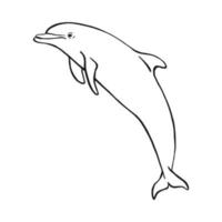 delfino disegnato a mano. illustrazione vettoriale in stile schizzo. delfino che salta isolato su sfondo bianco.
