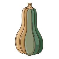 zucca verde-marrone astratta. un simbolo dell'autunno, del raccolto. elemento di design con contorno. scarabocchio, disegnato a mano. vegetale, pianta di melone. design piatto. illustrazione vettoriale a colori. isolato su bianco.