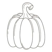 una zucca intera. un simbolo dell'autunno, del raccolto. elemento di design con contorno. scarabocchio, disegnato a mano. vegetale, pianta di melone. illustrazione vettoriale bianco nero. Isolato su uno sfondo bianco