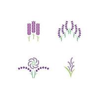 vettore di logo di fiori di lavanda fresca