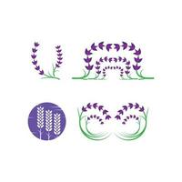 vettore di logo di fiori di lavanda fresca