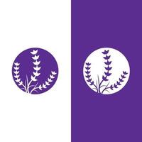 vettore di logo di fiori di lavanda fresca