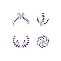 vettore di logo di fiori di lavanda fresca