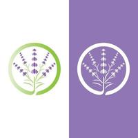 vettore di logo di fiori di lavanda fresca