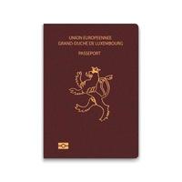 passaporto del lussemburgo. modello di identificazione del cittadino. per il tuo disegno vettore