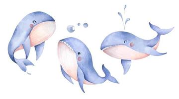 set di simpatiche balene blu. arte animale subacquea. illustrazione ad acquerello. vettore