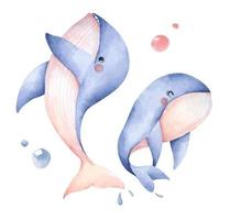 set di simpatiche balene blu. arte animale subacquea. illustrazione ad acquerello. vettore