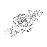 line art invito con rosa disegnata a mano su sfondo bianco. semplice illustrazione vettoriale. stampa botanica. vettore