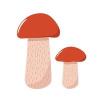due funghi colorati del vettore di icone di funghi aspen autunnali. illustrazione isolata su bianco