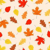 modello senza cuciture autunnale, foglie di quercia e pioppo tremulo gialle e rosse cadono in autunno vettore
