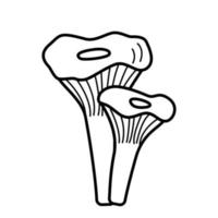 vettore di icone di funghi in stile doodle. illustrazione di finferli il contorno è isolato su bianco