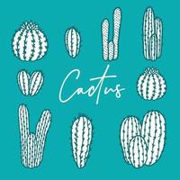 illustrazione stabilita del cactus vettore