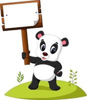 presentazione del panda dei cartoni animati vettore