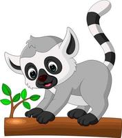 simpatico cartone animato lemure vettore