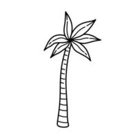 palma isolata su sfondo bianco illustrazione disegnata a mano vettoriale in stile doodle. perfetto per disegni estivi, biglietti, loghi, decorazioni.