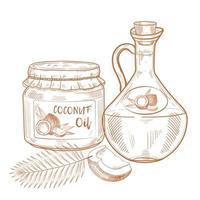 bottiglie di olio di cocco. ingredienti di cucina e di bellezza. brocca e vaso di vetro, noce di cocco, foglie di palma illustrazione vettoriale disegnata a mano per menu, banner, etichetta, logo.