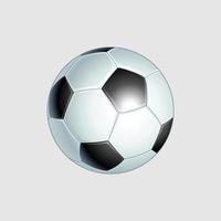 un'immagine 3d di un classico pallone da calcio e da calcio in bianco e nero vettore