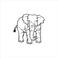 vettore di design elefante su sfondo bianco, vettore elefante per il tuo modello di progettazione.