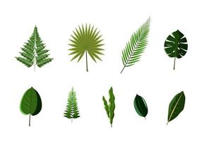 illustrazione vettoriale del set di foglie verdi
