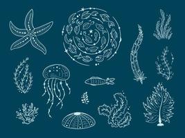 sagome di contorni di vita di mare isolati su sfondo scuro. illustrazioni disegnate a mano di vettore della linea incisa. raccolta di schizzi meduse, pesci, alghe, coralli, conchiglie, ricci di mare