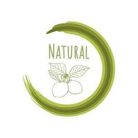 prodotto naturale, scarabocchio di limone, cibo sano e rispettoso dell'ambiente. segno rotondo, logo. pennello per autori vettoriali. vettore