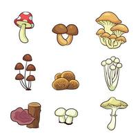 collezione di funghi disegnati a mano 1 vettore