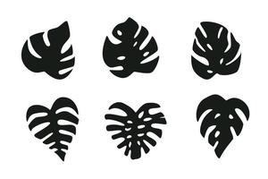 set di foglie di monstera, pianta della giungla tropicale. illustrazione vettoriale in uno stile piatto