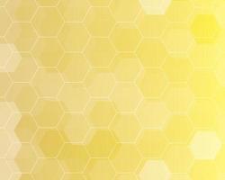 modello di banner sfondo esagono giallo vettore